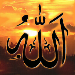 �� �������������