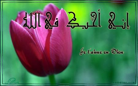 mes freres et soeurs