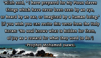 sobhana allah , allaho 3azza wajal a3ada li 3ibadihi salihin malam taraho 3aynon wa lam tasma3ho odonon min 9abl .