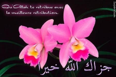 ���� ������ ����